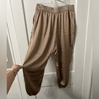NWT Express Tan Ankle Silky Pants