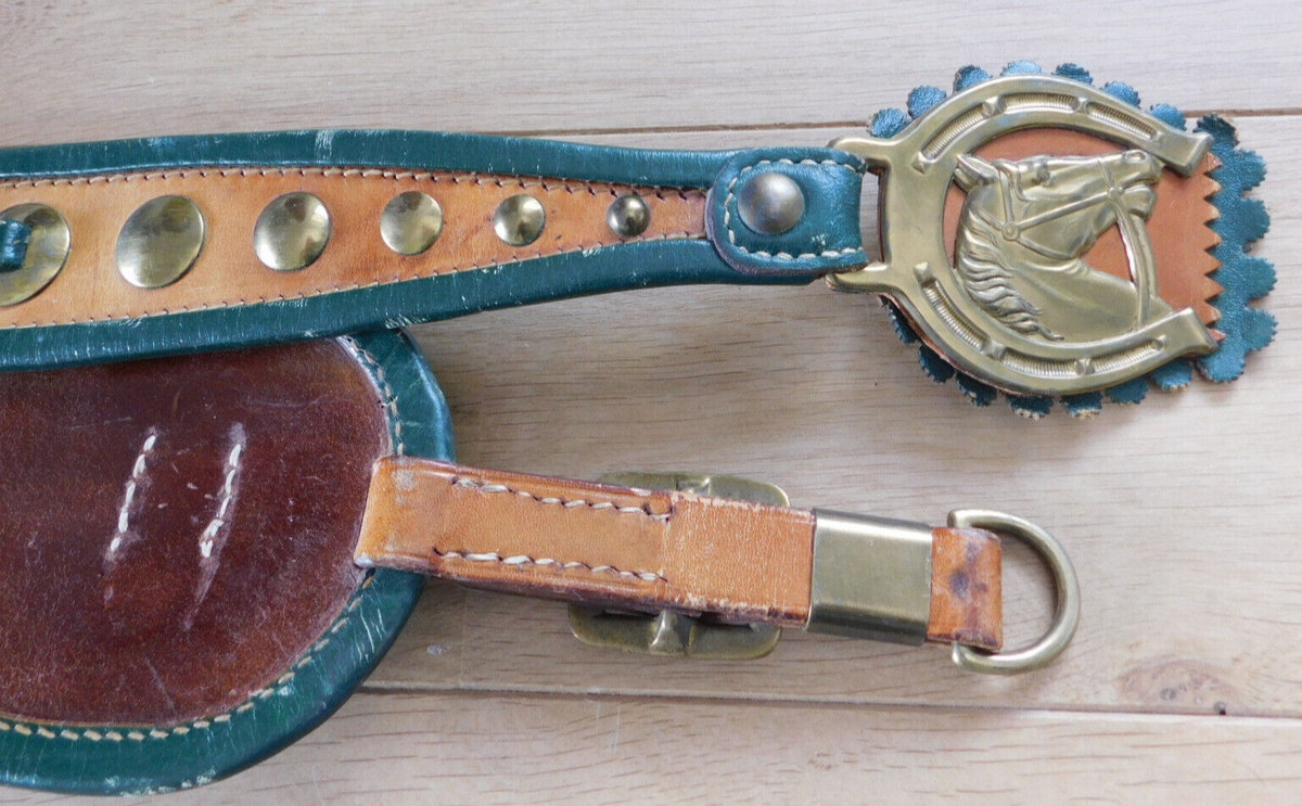 Harnais pour cheval : types et choix