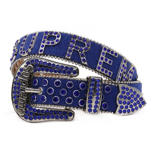 Blue Rhinestone Studded Western Belt – Y2K Bling Cowboy Statement Belt