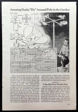Whirligig HowTo design PLANS “Amusing Ducks Fly Around Pole in the Garden”