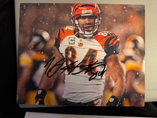 T. J. Houshmandzadeh signed 8x10 photo Cincinnati Bengals autographed