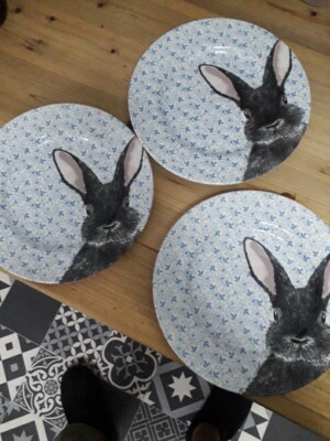 Royal Stafford Hare Dinner Plates UK