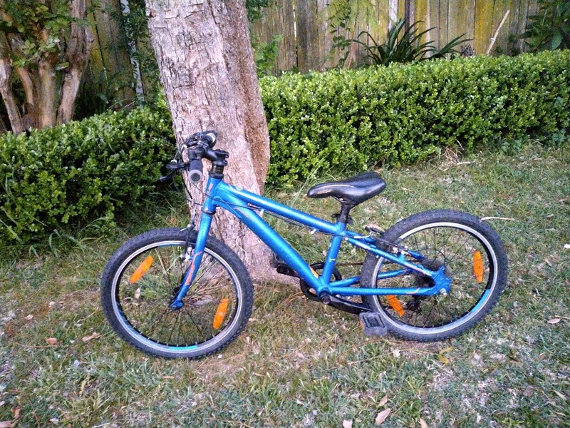 focus raven rookie 24 inch