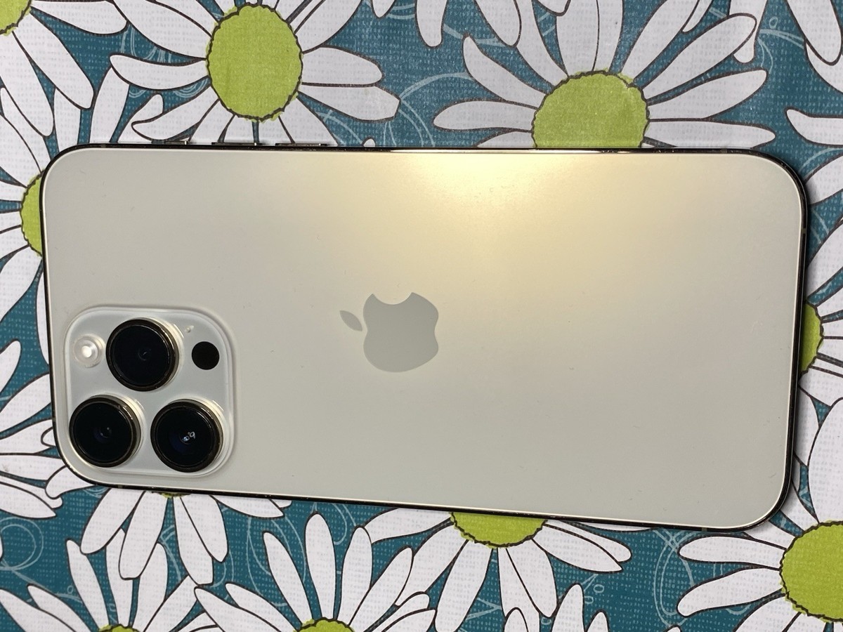 Jailbroken IPhone 14 Pro Max 256GB (Unlocked) RARE IOS 16.5