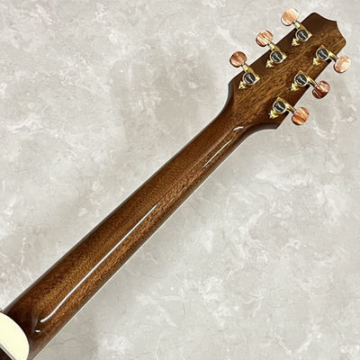 Takamine / DMP50S NAT Dual pickup specifications Acoustic Electric