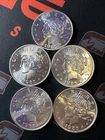 (5) 1985 Peace Dollar Design Trade Unit 1 Troy Oz .999 Fine Silver Vintage Rare