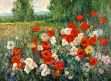 Poppies Flower Field Giclee Art oil painting HD printed on canvas L3066