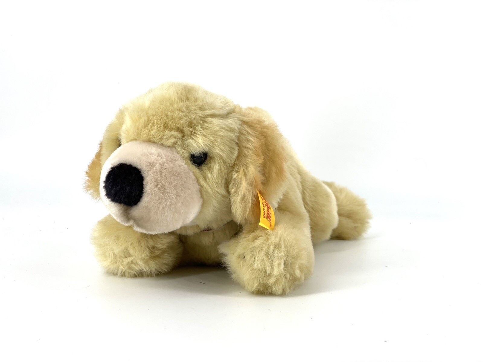 golden retriever american kennel club