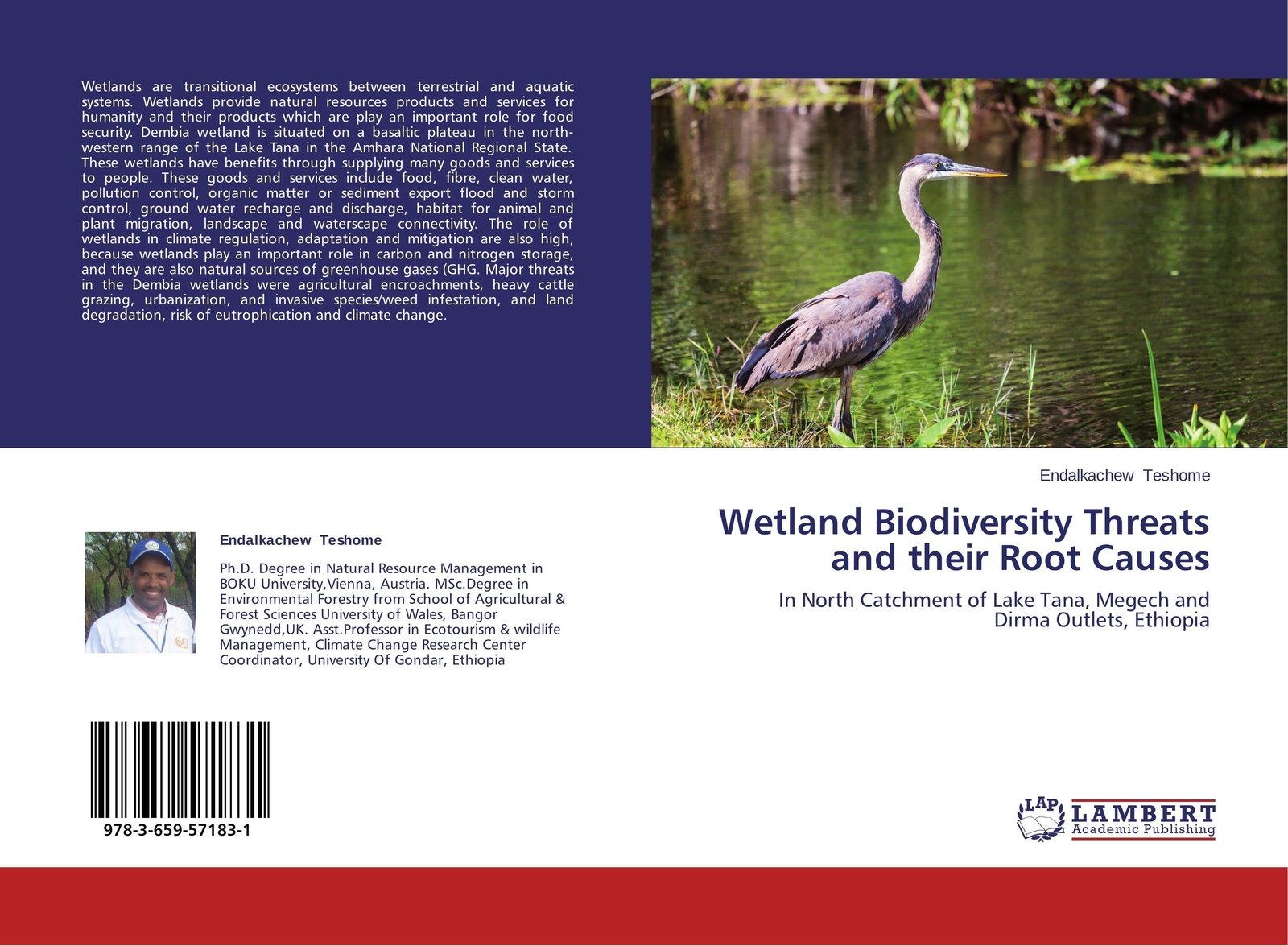 Thumbnail - Wetland Biodiversity Threats And Their Root Causes Endalkachew Teshome