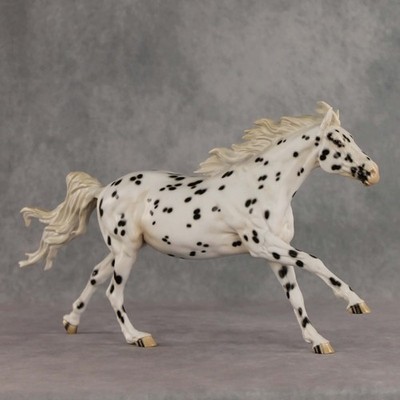 Peter Stone Model Horse Volo mustang mare appaloosa