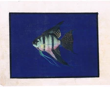 Handmade  Painting Of Angel-fish Of Curacoo on Silk Cloth   9x7 Inches