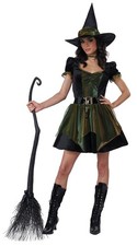 Wizard of Oz Emerald Witch Adult Costume