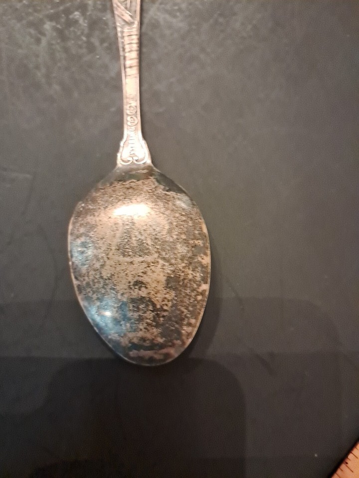 Grand Forks North Dakota Souvenir Spoon Sterling Silver Floral