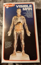 Skilcraft Visible Man Anatomy Kit (open box, new sealed parts) 1999 Kit no 40155