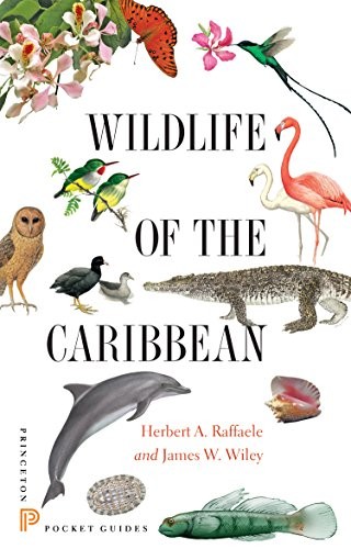 Wildlife of the Caribbean (Princeton Pocket Guides),Herbert A. R