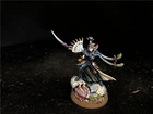 Warhammer 40K DPS painted Drukhari Lady Malys SK8402