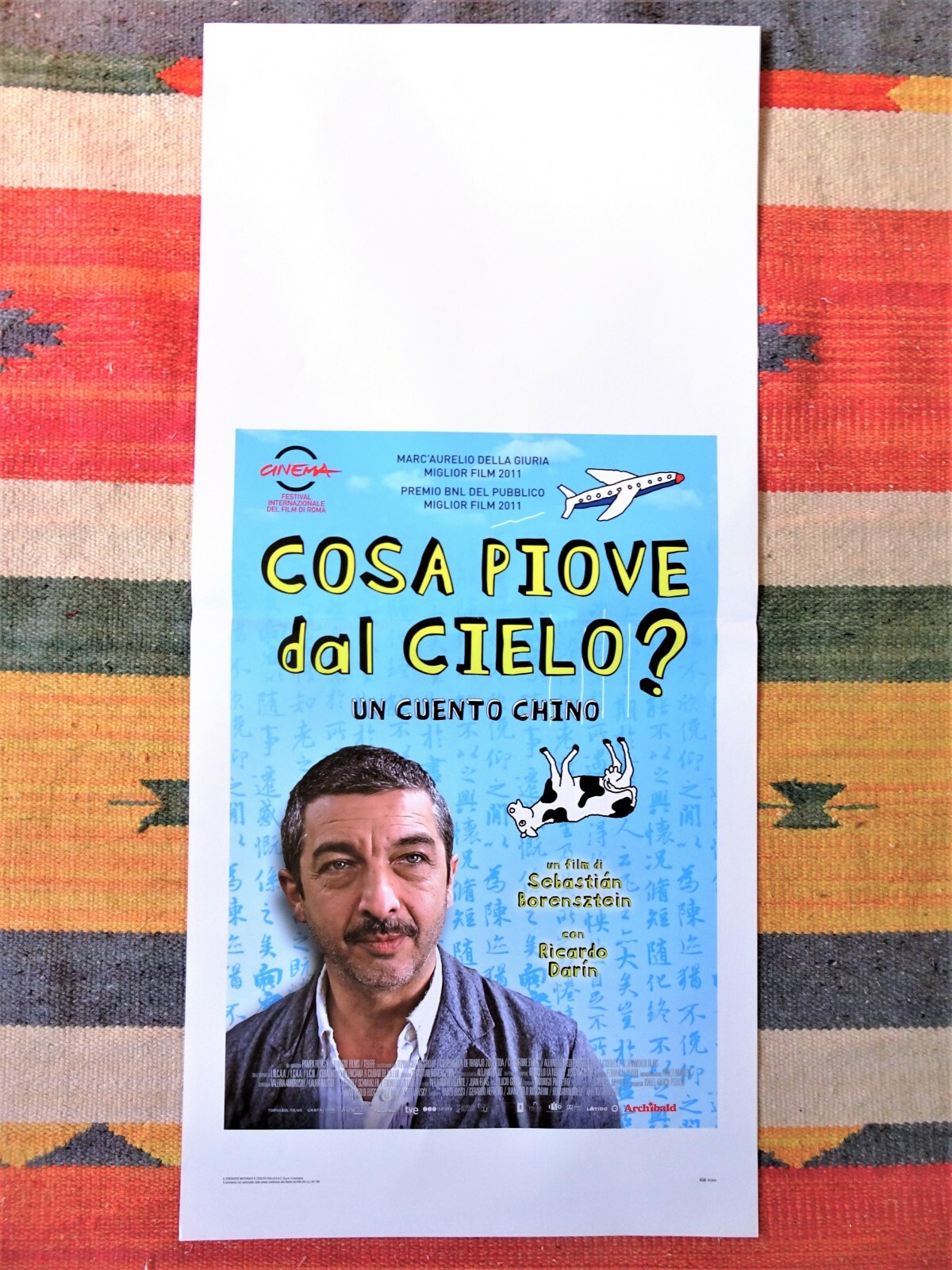 Locandina di Cosa piove dal cielo? (2012)
