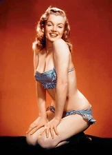 Marilyn Monroe Norma  8x10 Glossy Photo