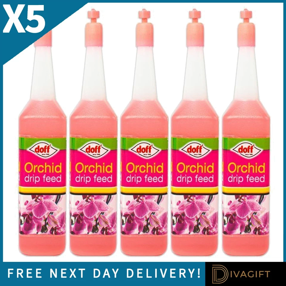 5 x DOFF ORCHID DRIP FEED 150 DAYS VIBRANT COLOURS BEAUTIFUL BLOOMS DRIP FEEDER