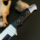 8.8 D2 Tactical Camp Knife Full Tang Micarta Handle Fixed Blade Leather Sheath — photo 9