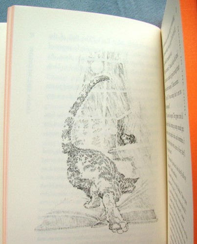 Bunnicula ~40th Anniv Ed 2019~ Howe SIGNED Rabbit Velvet Veggie Vamp Fang Illust - Picture 9 of 17
