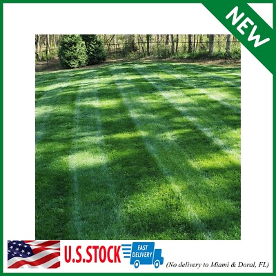 Midnight Kentucky Bluegrass Seed (Certified) - 50 Lbs - Foto 4