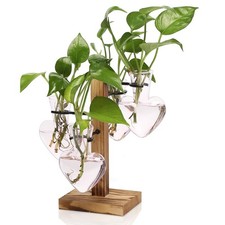 "Glass Plant Propagation Station with Wooden Stand for Indoor Hydroponics"