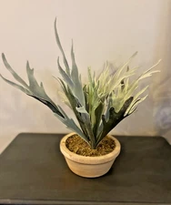 Threshold Artificial Potted Tabletop Staghorn Fern