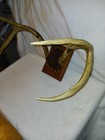 Vintage  large 6 Point Whitetail Deer ANTLER RACK MOUNT Cabin Decor — photo 2