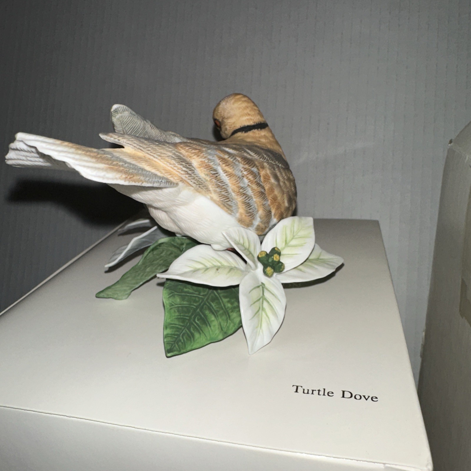 Picture 5 of 19