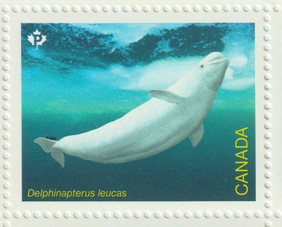 Canada 2022 Souvenir Sheet #3327 Endangered Whales - MNH - Image 3 of 4