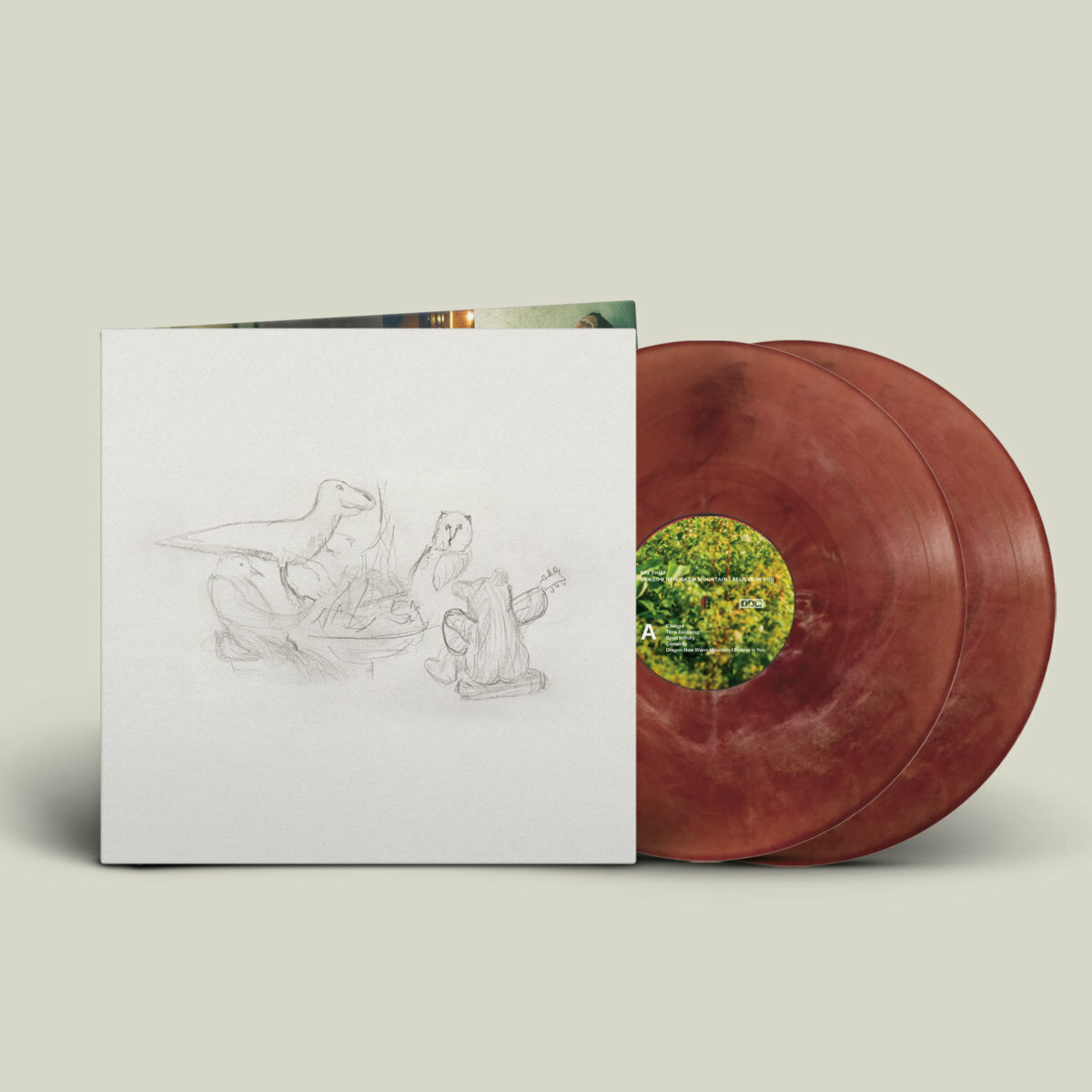 【新品未開封】【レコード】Big Thief Dragon New Warm Big Thief Dragon New Warm Mountain I Believe In You Black