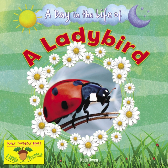 A Ladybird by Ruth Owen (Paperback Book)