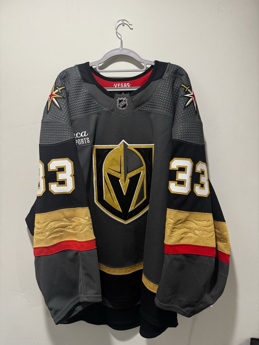 MIC Team Issued Vegas Golden Knights Adin Hill Jersey | eBay