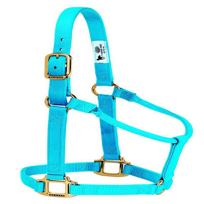 Weaver Equine Weaver Leather Original Non-Adjustable Nylon Horse Halter Small