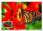 Dr Jim Stamps Maximum Card Protect Pollinators Monarch Butterly Forever Fdc