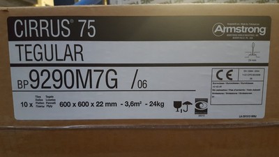 Cirrus 75 Tegular Bp 9290m7g 600mm X 600mm X 22mm Suspended