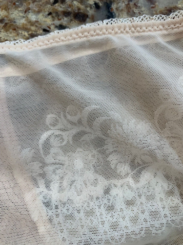 WACOAL 845125 ~ PERFECT PERCEPTION SEMI SHEER HIPSTER PANTIES ~SIZE MEDIUM - Picture 5 of 7