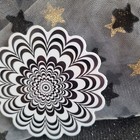 Bild 4 von 8