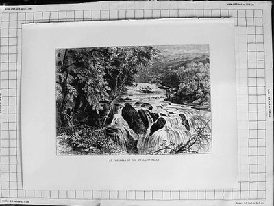 Original alter antiker Druck um 1900 Ansicht Kopf Schwalbe fällt Fluss Bäume Natur