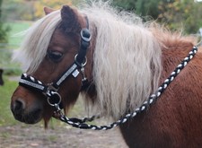 Strass SHETTY Trense REITHALFTER ZÜGEL  Shetland Pony Sidepull gebisslos