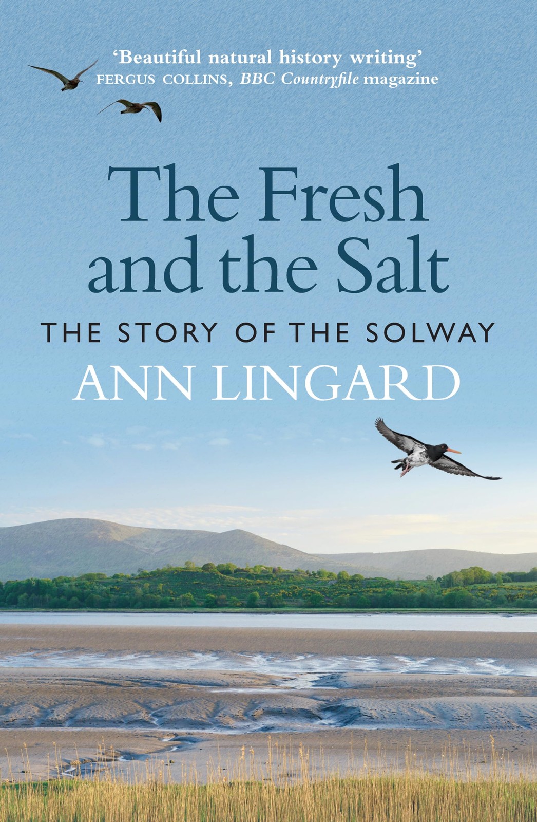 The Fresh And The Salt : The Story Of The Solway Ann Lingard - Image 6