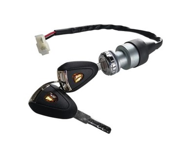 JOEEGO Ignition Starter Switch Assembly for 48V Golf Cart, Replacement for Ed...