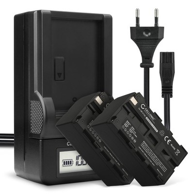 2x Akku für Sony CCD-TR420E 4400mAh + Ladegerät
