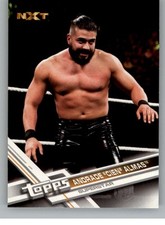 2017 Topps WWE Then Now Forever Wrestling Cards Pick From List (101-200)