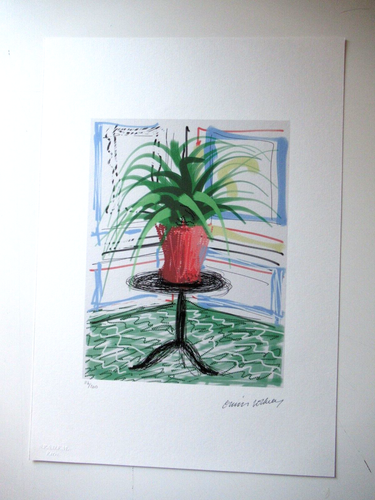 DAVID HOCKNEY: Schöne Lithographie "BLUME AUF TISCH" 50x35cm Limitiert xx/200 - Bild 2 von 5