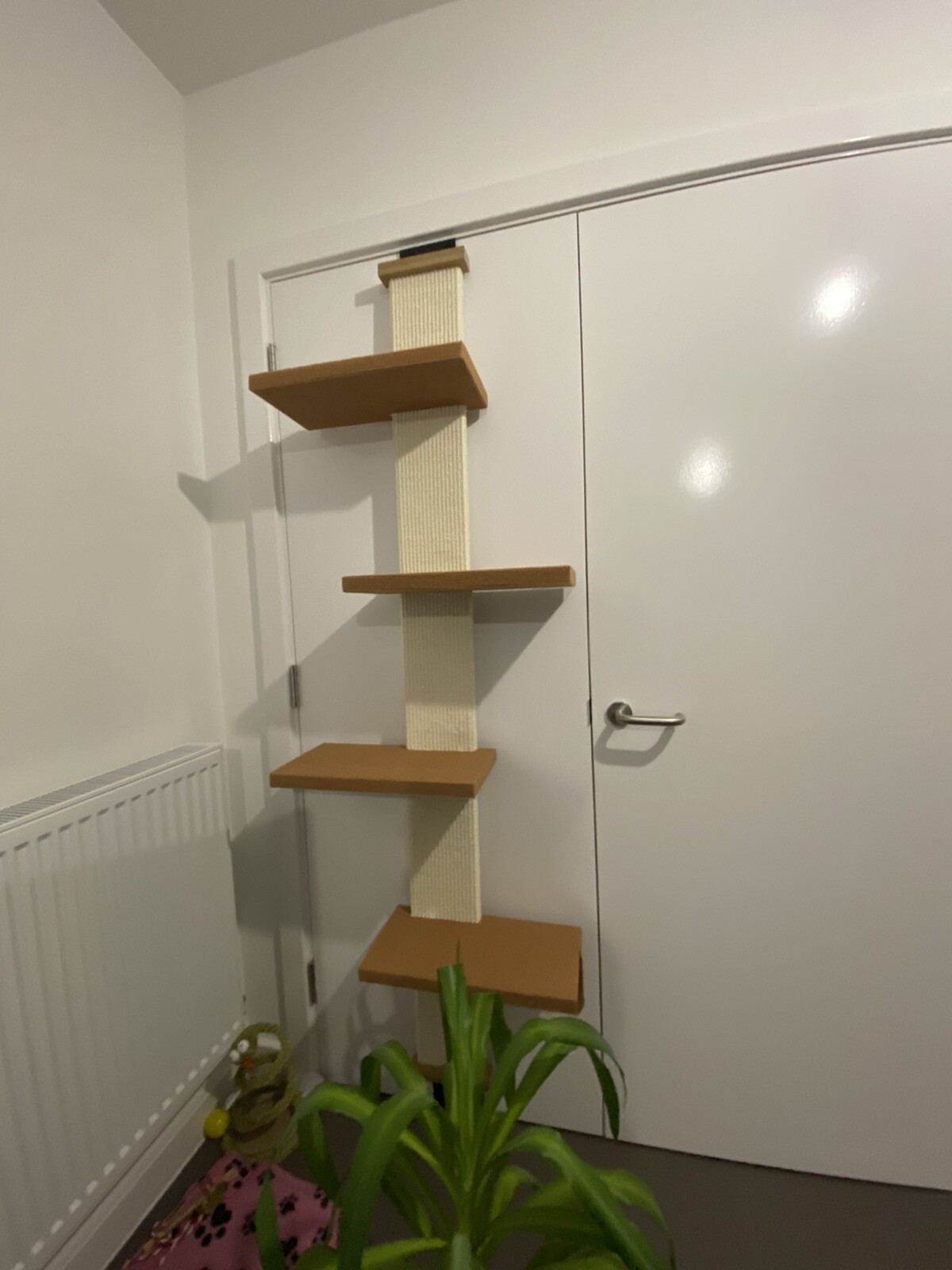 SmartCat Door Climber eBay