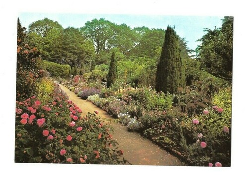 Chipping Campden: Hidcote Manor : Gardens - The Old Rose Walk