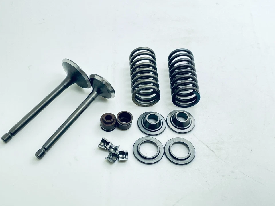 Kit de junta de asiento de resorte de válvula de motor para Yamaha YBR125 YBR125E YBR125ED EGS Foto 4 de 4