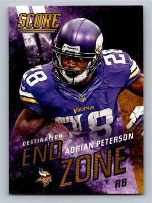 2014 Score Destination End Zone  Adrian Peterson DE5
